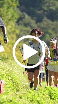 BIB:  <button type="button" onclick="openModal(26576830)" class="btn btn-primary btn-sm float-right" data-toggle="modal" data-target=".modal-high-quality">
                <i class="fa fa-download"></i> Download
                </button>